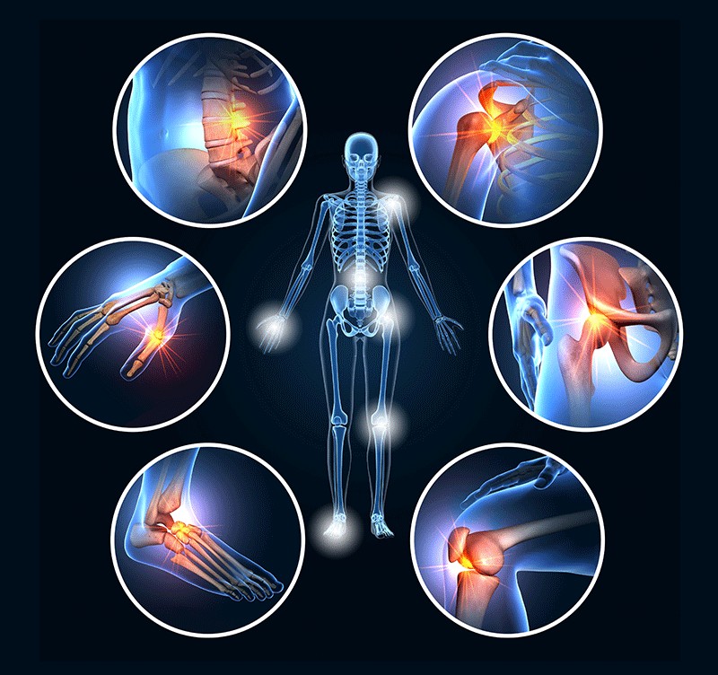 Neurological Physical Therapy Techniques
